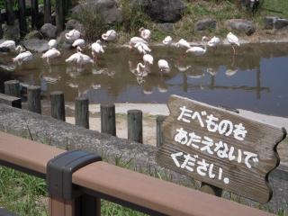 平川動物公園 005