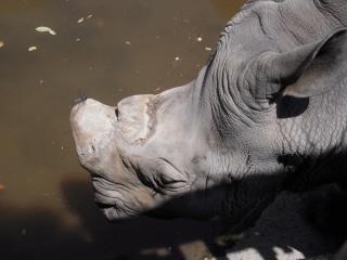 平川動物公園 011