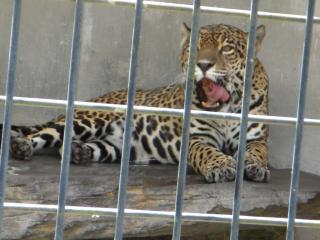 平川動物公園 018