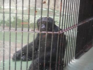 平川動物公園 040