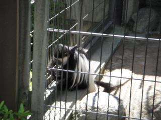 平川動物公園 048